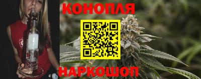 СК Кингисепп