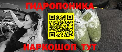 хмурый Кимры