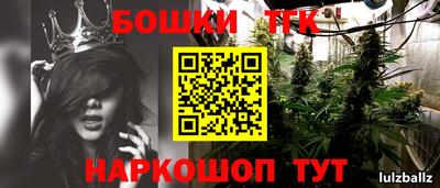 крисы Кинель