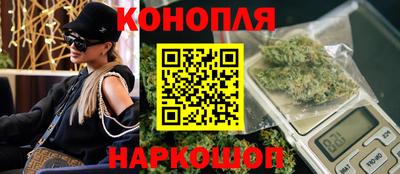 СК Кингисепп
