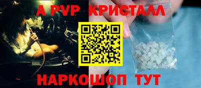 СК Кингисепп