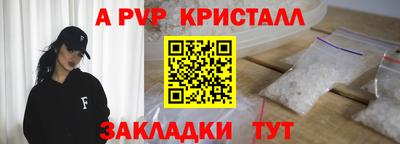 СК Кингисепп