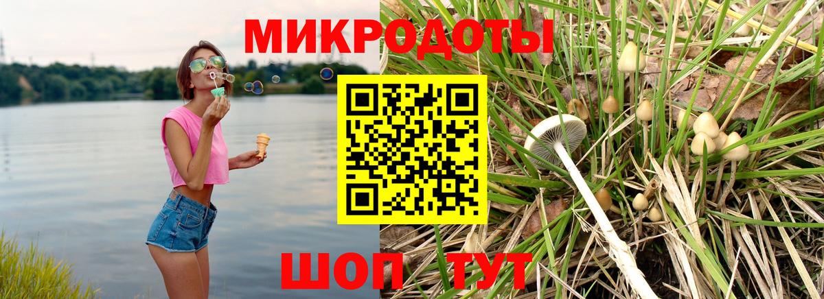 Галлюциногенные грибы Cubensis Куйбышев