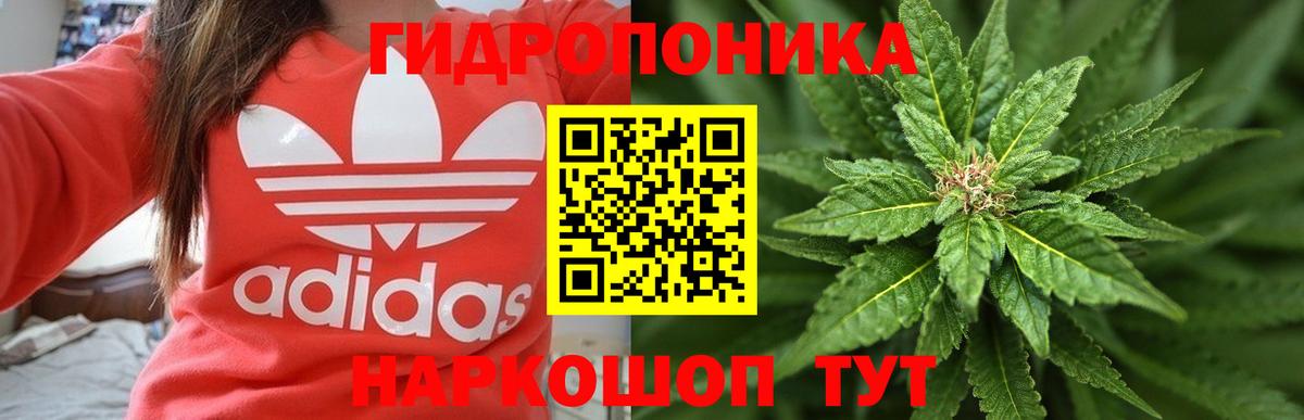 Куйбышев  Бошки марихуана OG Kush  Вход с VPN  Конопля ГИДРОПОН  Каннабис Ganja 